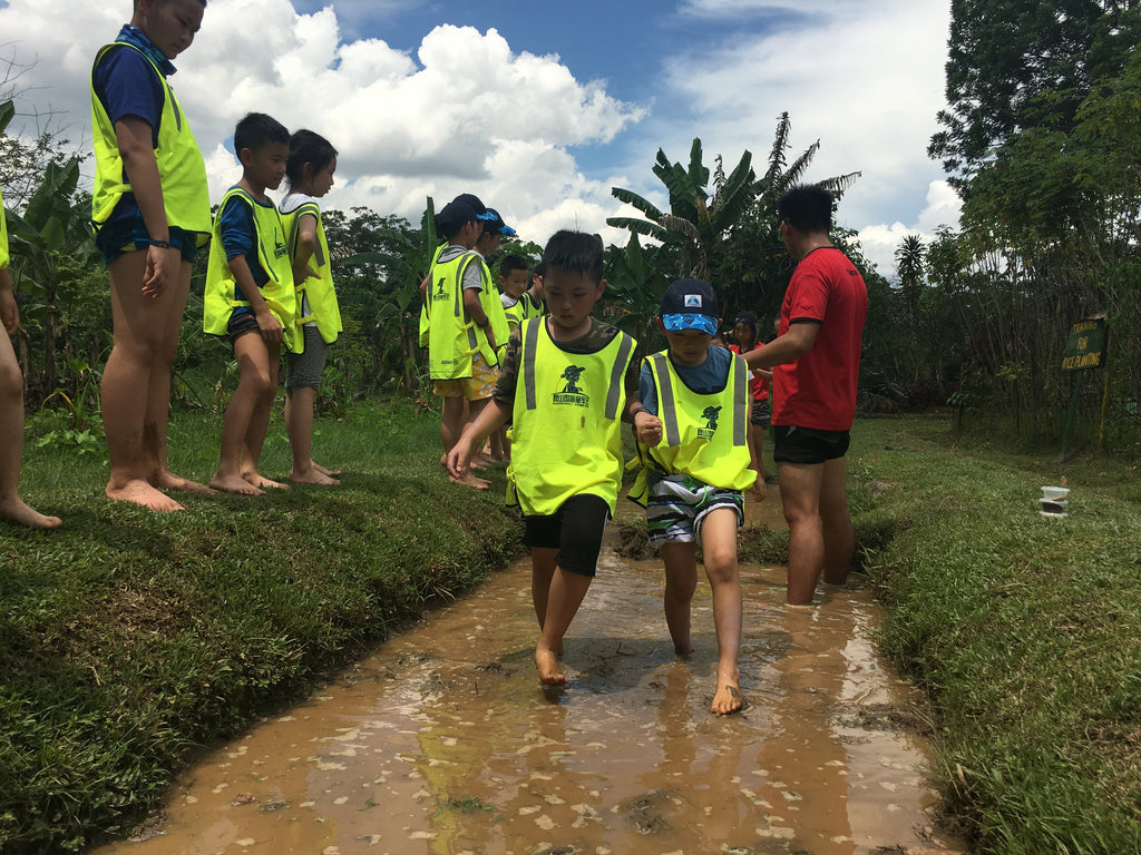 ECO Experience - High Achievers 2.0