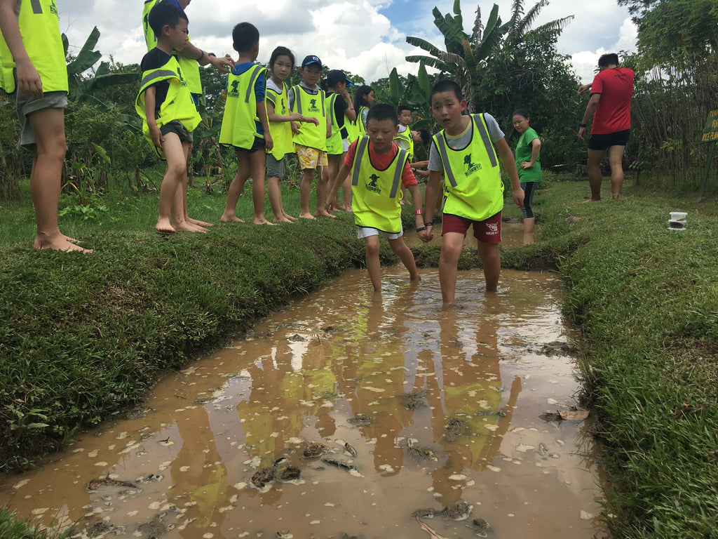 ECO Experience - High Achievers 2.0