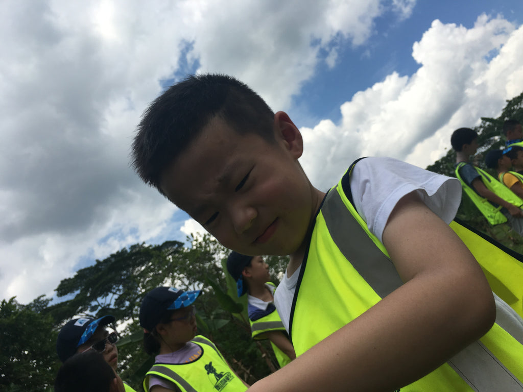 ECO Experience - High Achievers 2.0