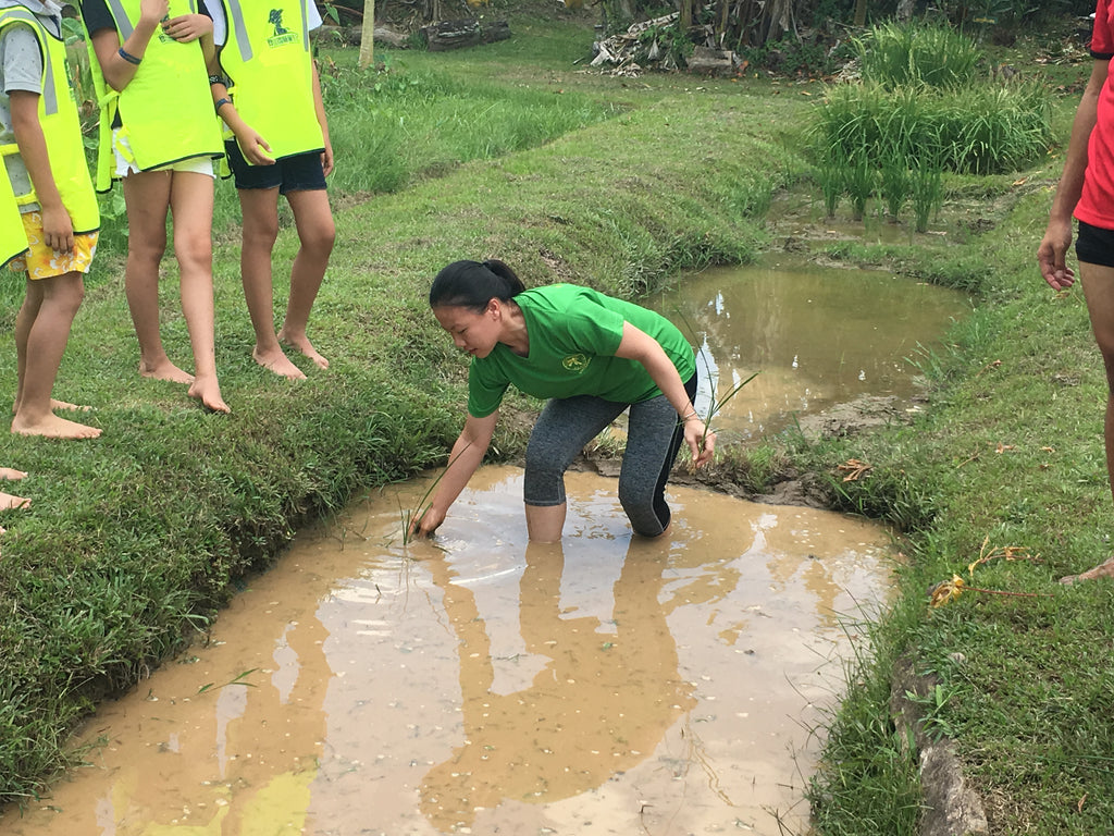 ECO Experience - High Achievers 2.0