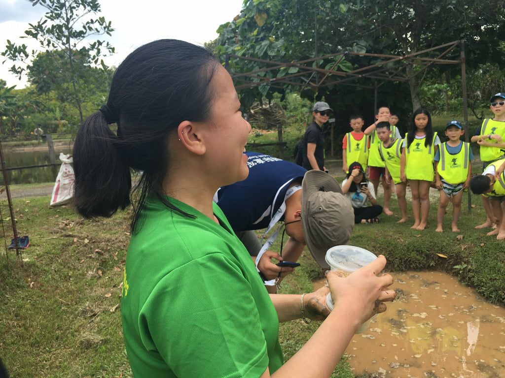 ECO Experience - High Achievers 2.0