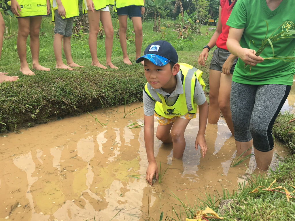 ECO Experience - High Achievers 2.0