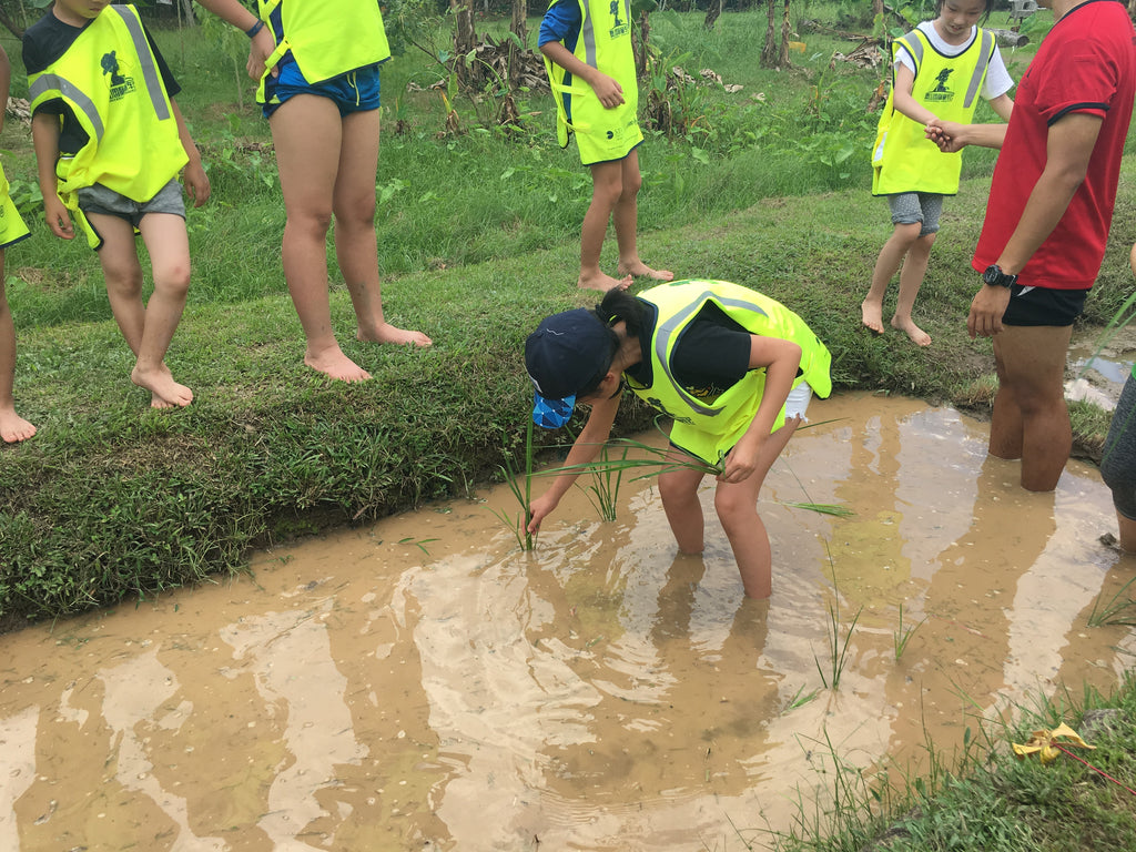 ECO Experience - High Achievers 2.0