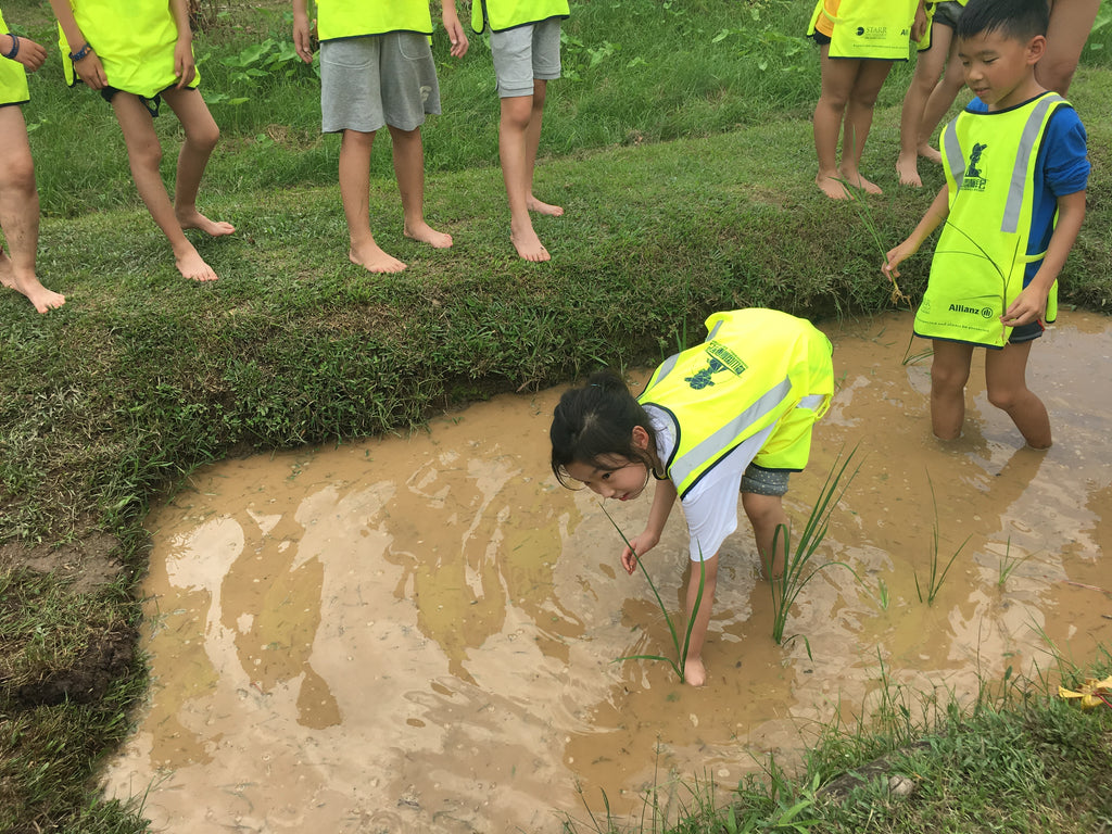 ECO Experience - High Achievers 2.0