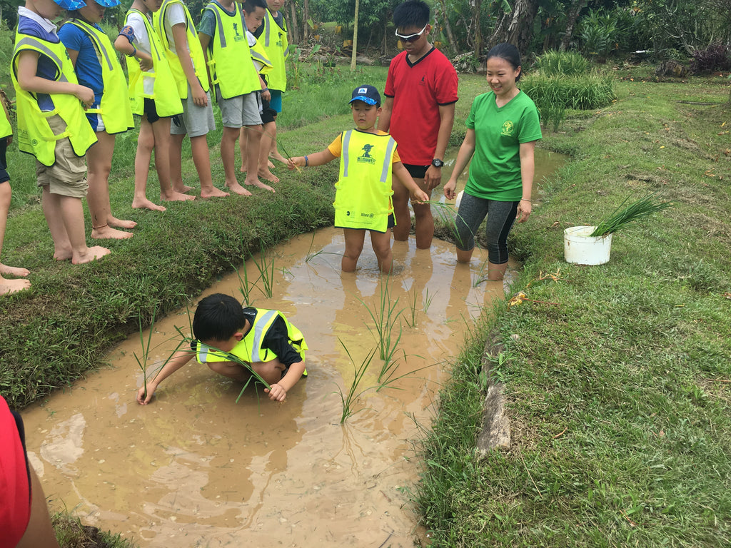 ECO Experience - High Achievers 2.0