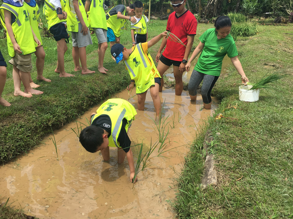 ECO Experience - High Achievers 2.0