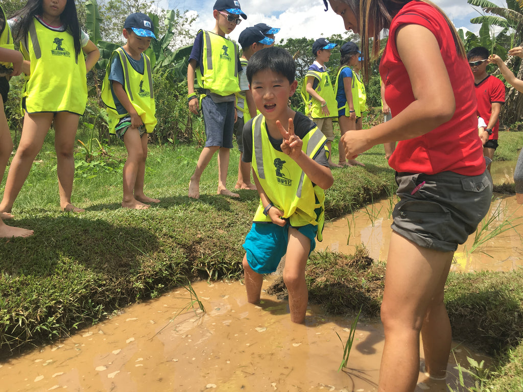 ECO Experience - High Achievers 2.0