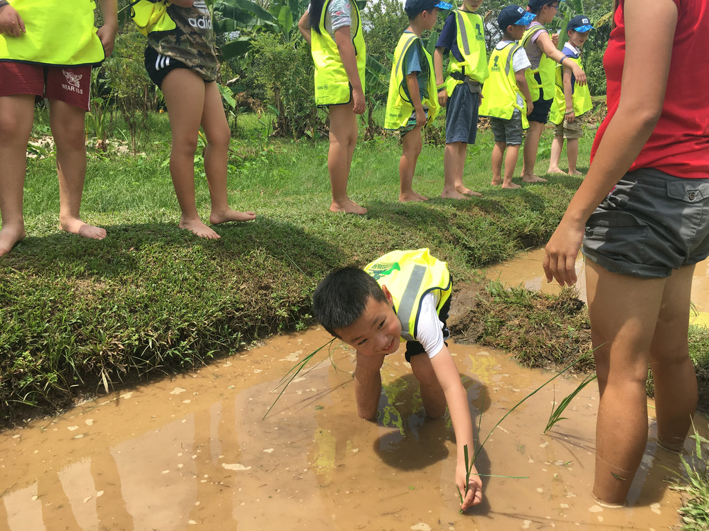 ECO Experience - High Achievers 2.0