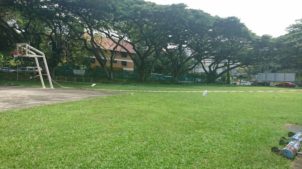 Shelton College - High Achievers 2.0