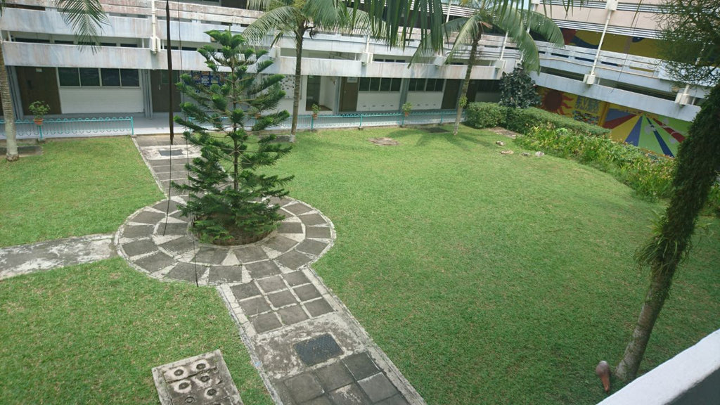 Shelton College - High Achievers 2.0