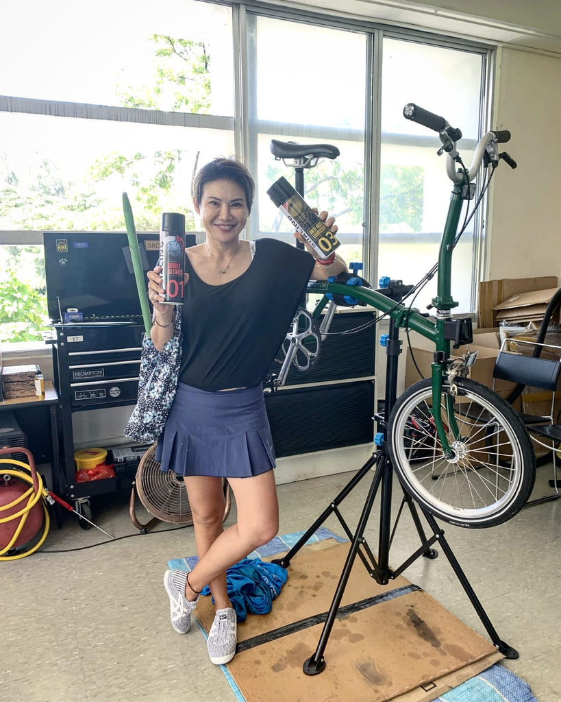 Brompton Cleaning Kit