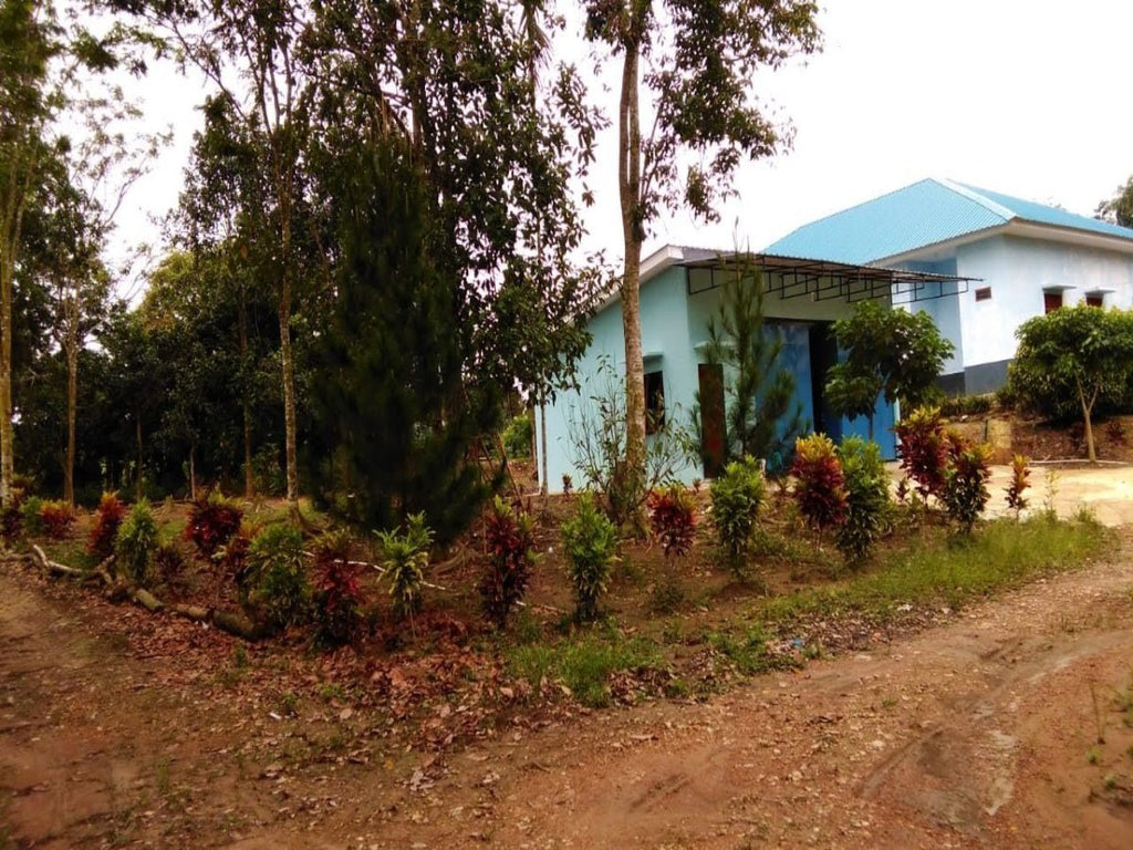 Indonesia - Batam - Overseas Program - VIA Program - High Achievers