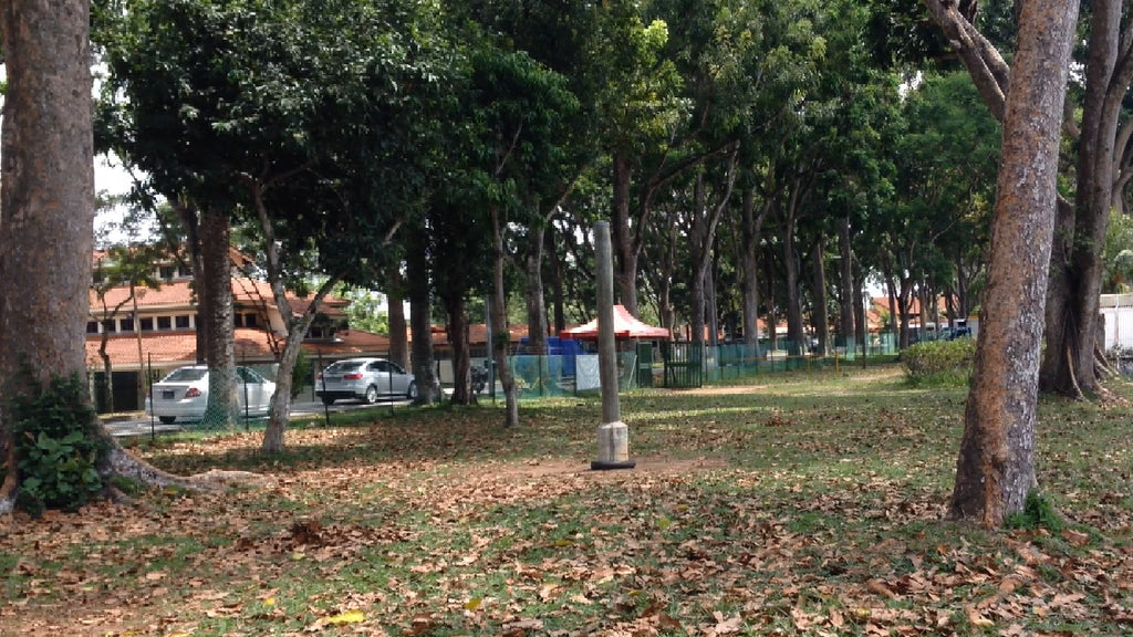 Low Elements - High Achievers 2.0