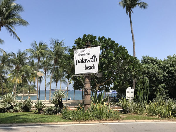 Amazing Race - Sentosa - Outdoor activity - Team building - High Achievers 2.0