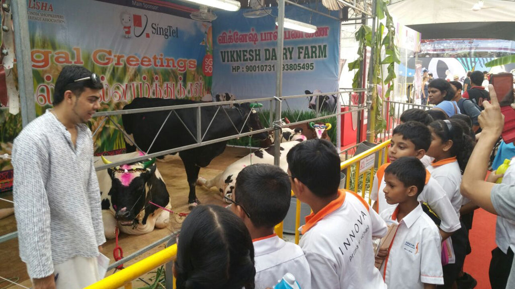 Heritage Race - High Achievers 2.0