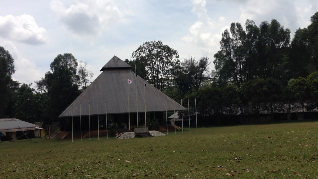 Main Field - High Achievers 2.0