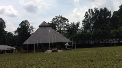 Main Field - High Achievers 2.0