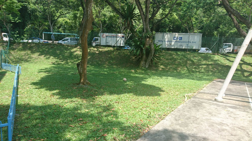 Shelton College - High Achievers 2.0