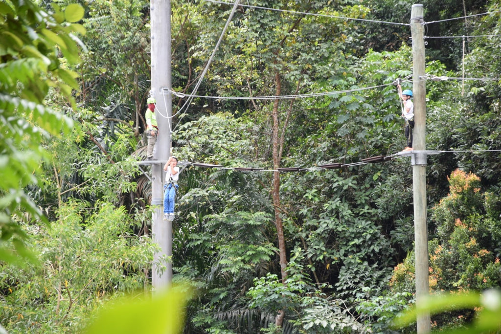 High Elements : Flying Fox - High Achievers 2.0