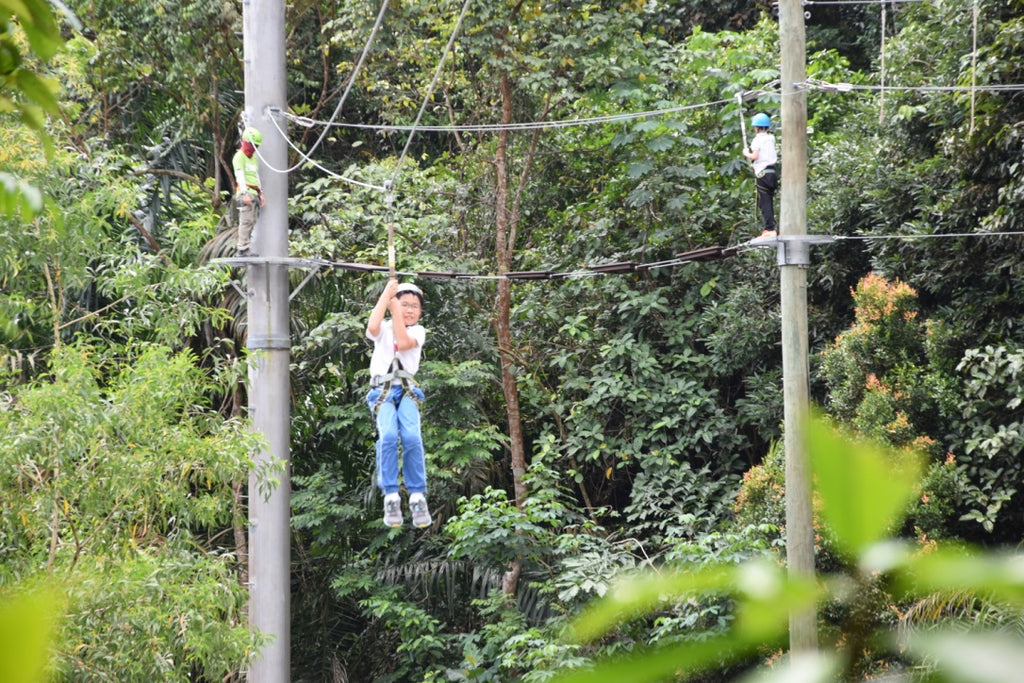 High Elements : Flying Fox - High Achievers 2.0