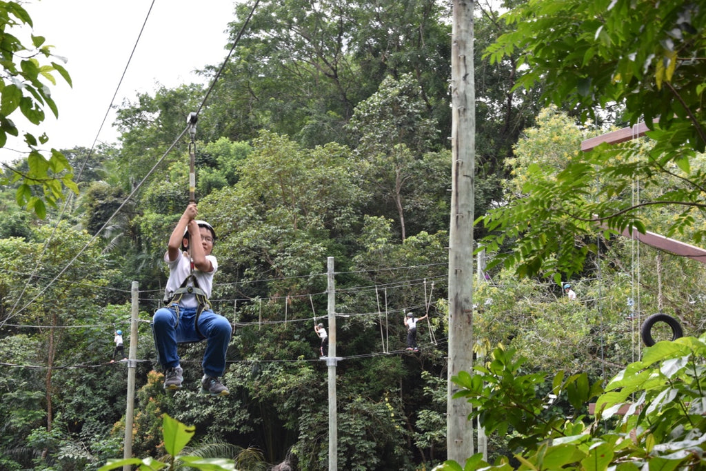 High Elements : Flying Fox - High Achievers 2.0