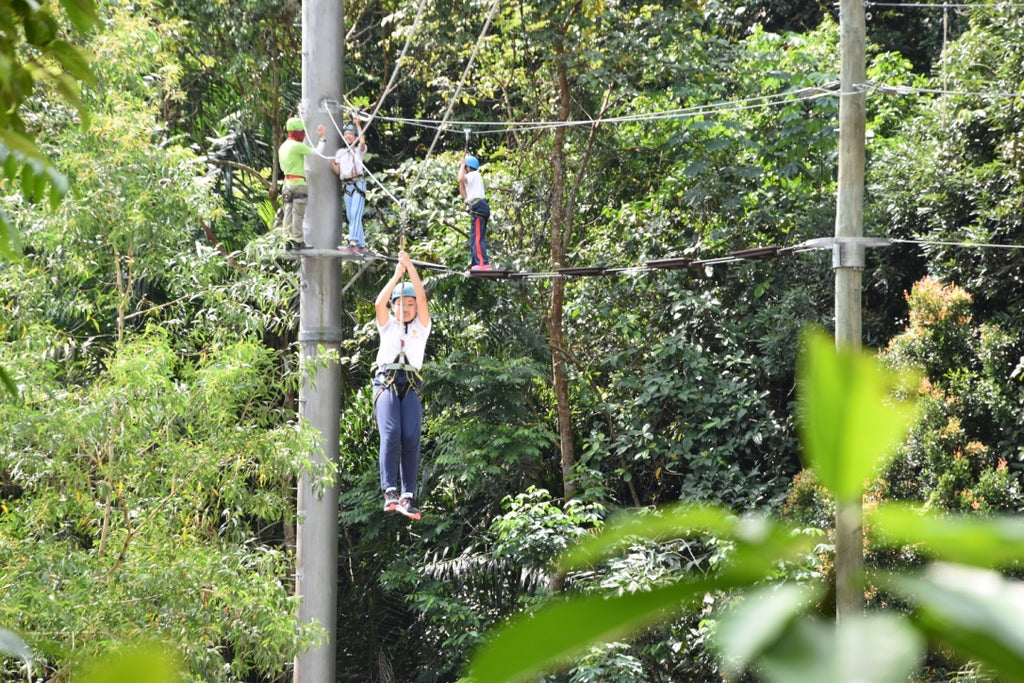 High Elements : Flying Fox - High Achievers 2.0