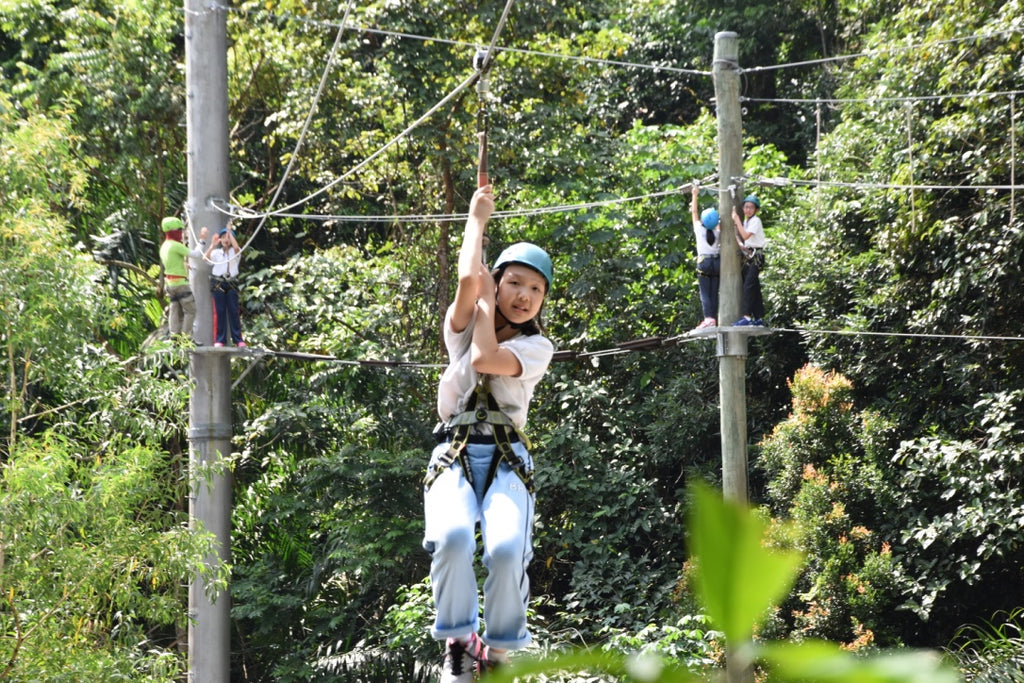 High Elements : Flying Fox - High Achievers 2.0