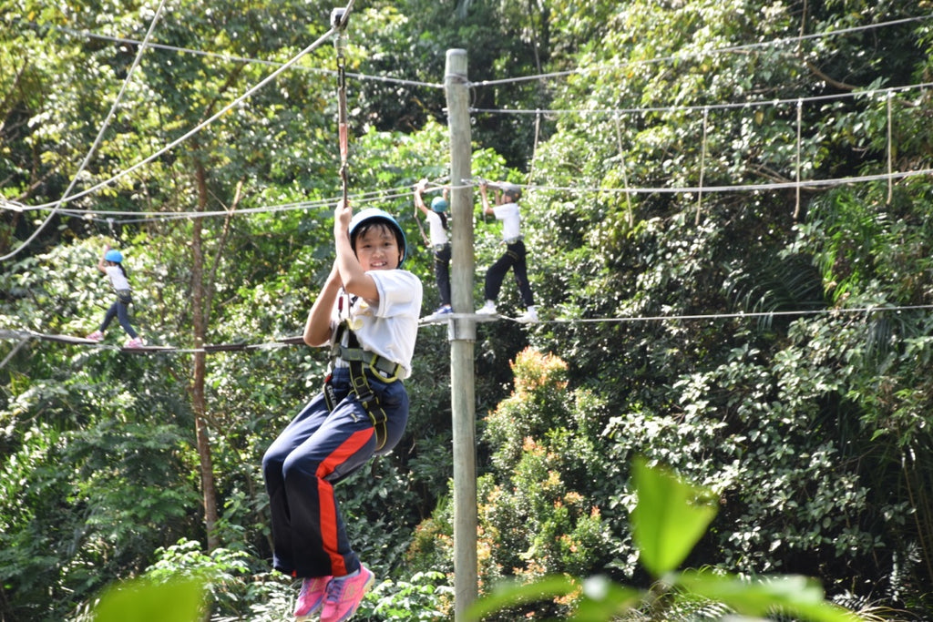 High Elements : Flying Fox - High Achievers 2.0