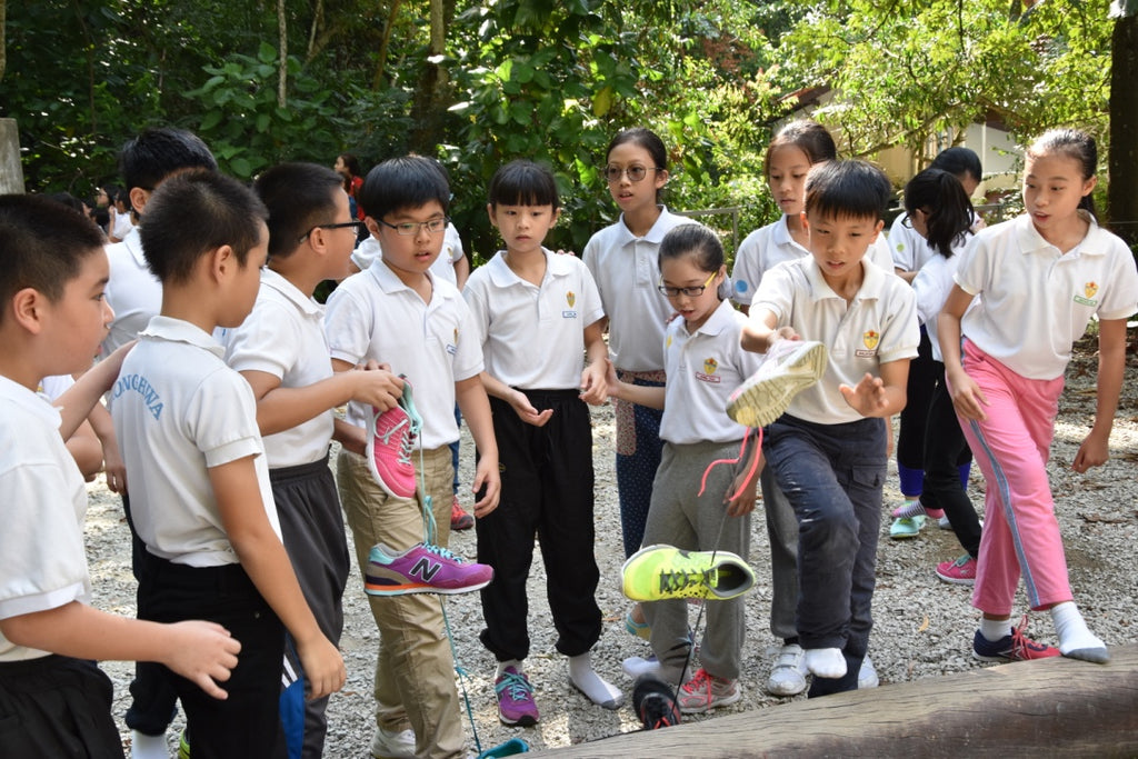 Low Elements - High Achievers 2.0