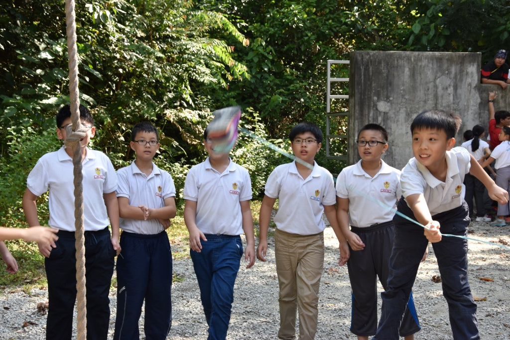 Low Elements - High Achievers 2.0